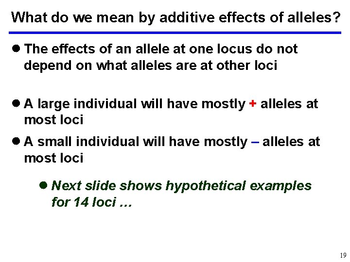 What do we mean by additive effects of alleles? ● The effects of an