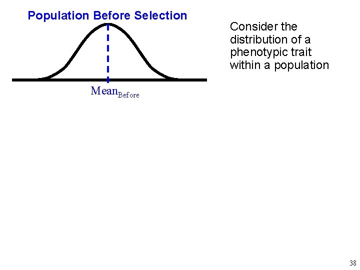 Population Before Selection Consider the distribution of a phenotypic trait within a population Mean.