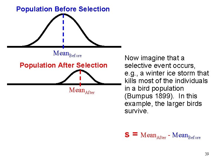 Population Before Selection Mean. Before Population After Selection Mean. After Now imagine that a