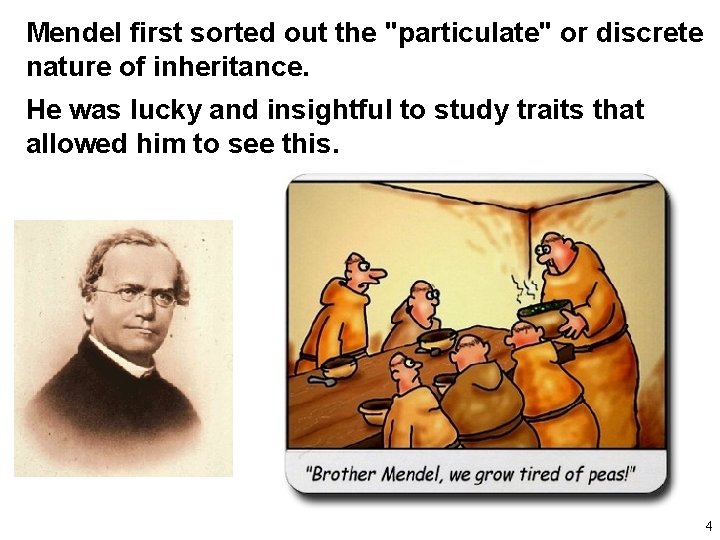 Mendel first sorted out the "particulate" or discrete nature of inheritance. He was lucky