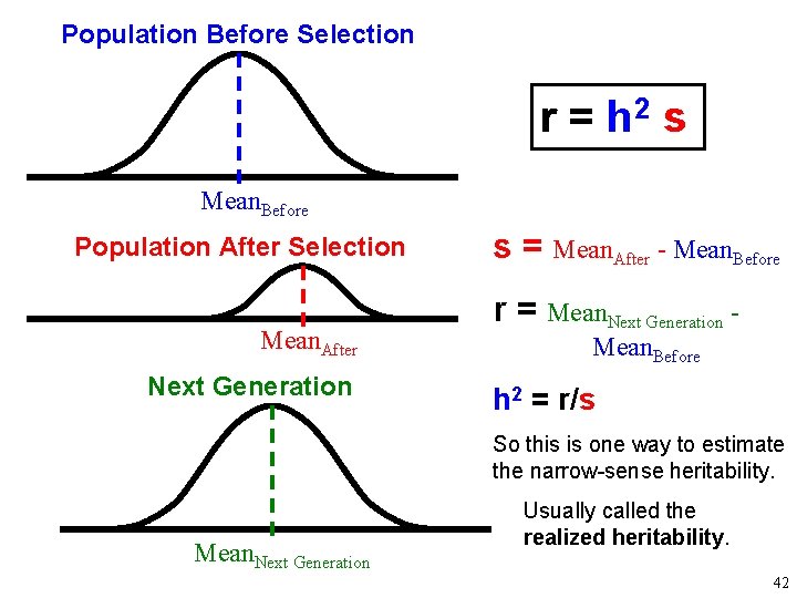 Population Before Selection r = h 2 s Mean. Before Population After Selection Mean.