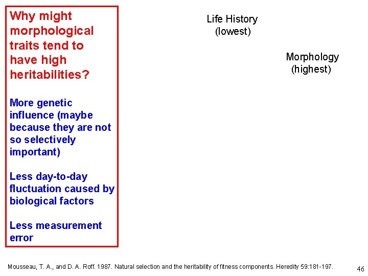Why might morphological traits tend to have high heritabilities? Life History (lowest) Morphology (highest)