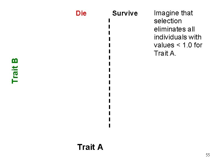 Survive Imagine that selection eliminates all individuals with values < 1. 0 for Trait