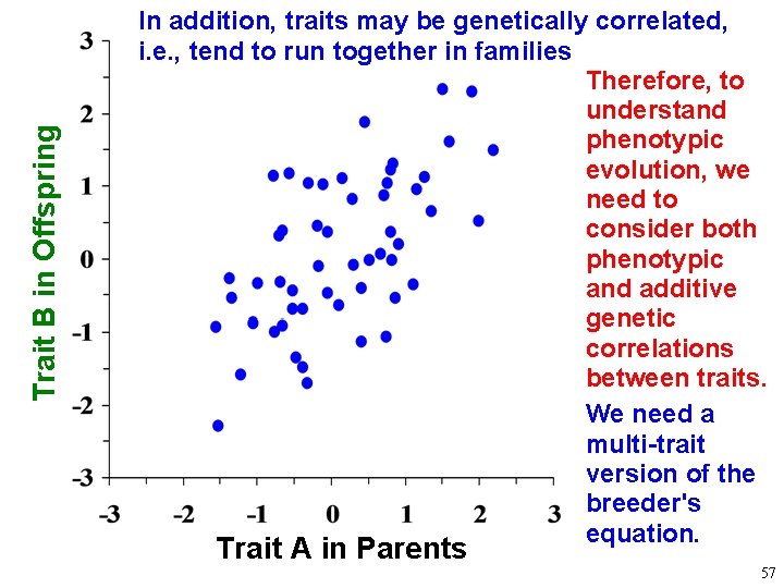 Trait B in Offspring In addition, traits may be genetically correlated, i. e. ,