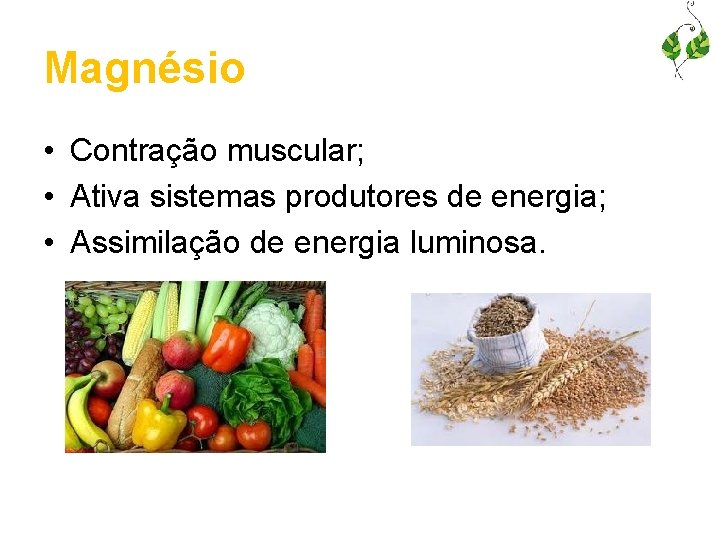 Magnésio • Contração muscular; • Ativa sistemas produtores de energia; • Assimilação de energia