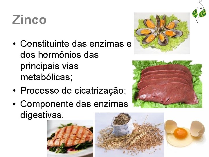 Zinco • Constituinte das enzimas e dos hormônios das principais vias metabólicas; • Processo