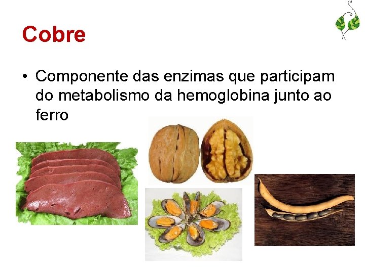 Cobre • Componente das enzimas que participam do metabolismo da hemoglobina junto ao ferro