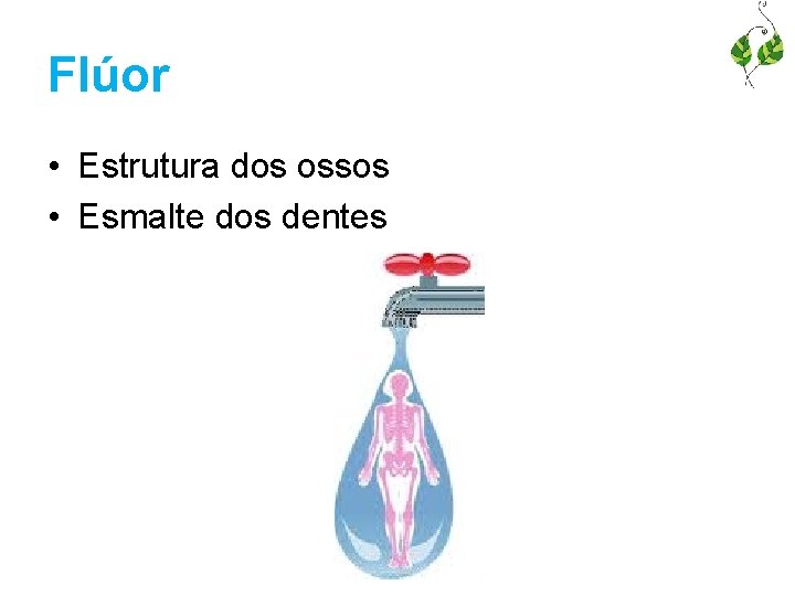 Flúor • Estrutura dos ossos • Esmalte dos dentes 