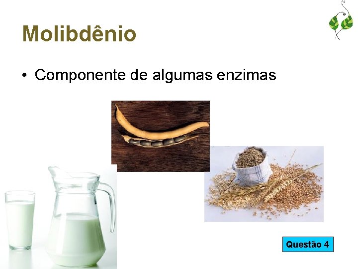 Molibdênio • Componente de algumas enzimas Questão 4 
