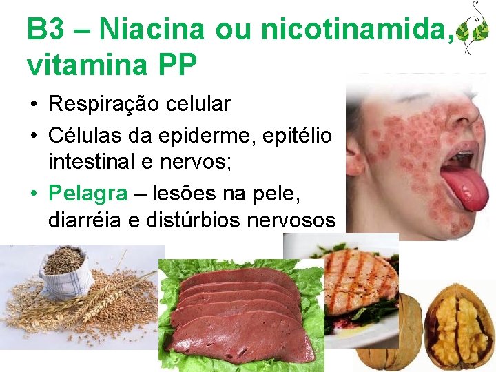 B 3 – Niacina ou nicotinamida, vitamina PP • Respiração celular • Células da
