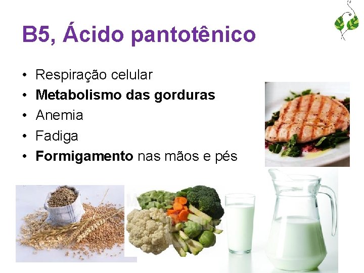 B 5, Ácido pantotênico • • • Respiração celular Metabolismo das gorduras Anemia Fadiga