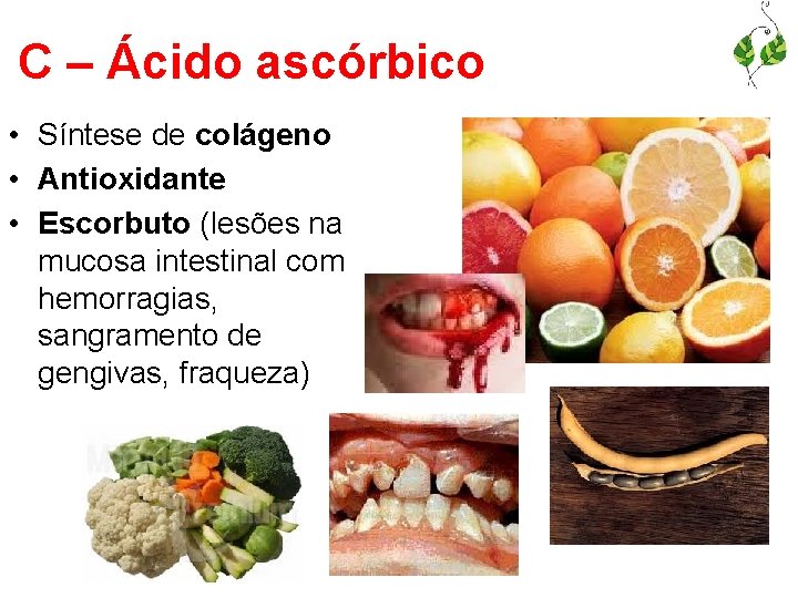 C – Ácido ascórbico • Síntese de colágeno • Antioxidante • Escorbuto (lesões na
