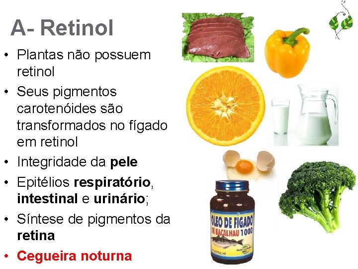 A- Retinol • Plantas não possuem retinol • Seus pigmentos carotenóides são transformados no
