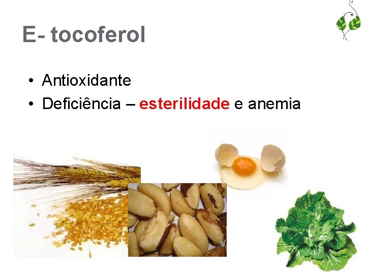 E- tocoferol • Antioxidante • Deficiência – esterilidade e anemia 