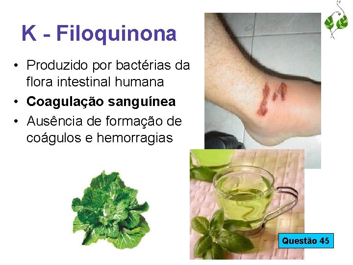 K - Filoquinona • Produzido por bactérias da flora intestinal humana • Coagulação sanguínea