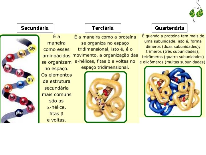 Secundária Terciária Quartenária 