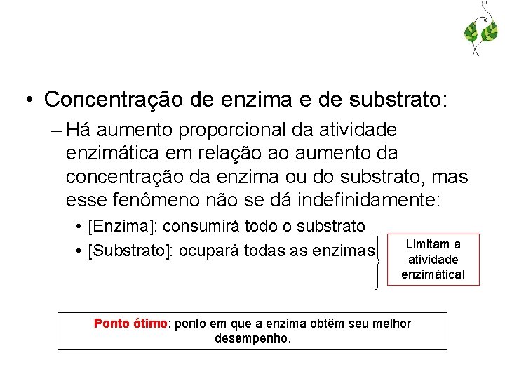  • Concentração de enzima e de substrato: – Há aumento proporcional da atividade