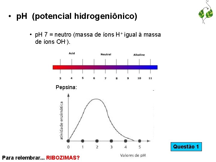  • p. H (potencial hidrogeniônico) • p. H 7 = neutro (massa de