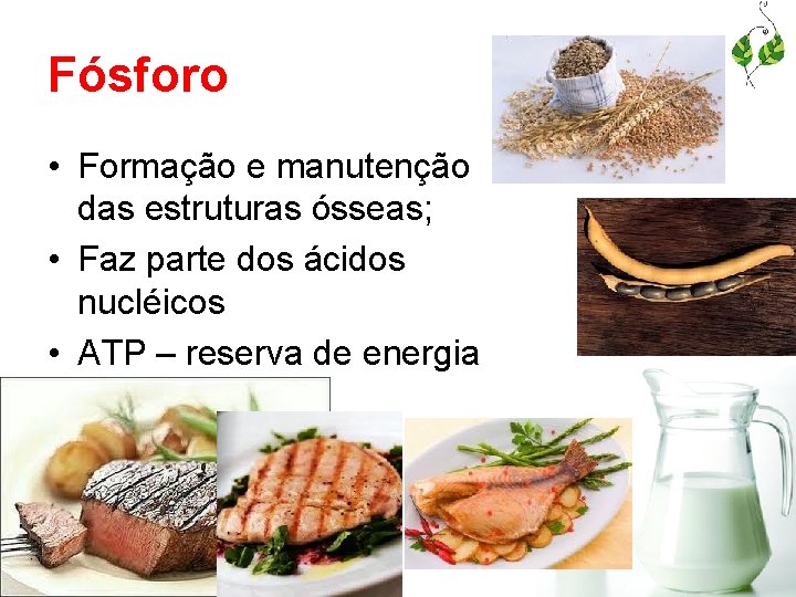 Fósforo • Formação e manutenção das estruturas ósseas; • Faz parte dos ácidos nucléicos