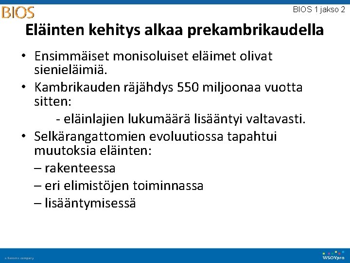 BIOS 1 jakso 2 Eläinten kehitys alkaa prekambrikaudella • Ensimmäiset monisoluiset eläimet olivat sienieläimiä.