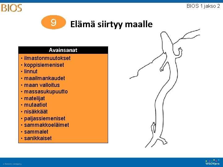 BIOS 1 jakso 2 9 Elämä siirtyy maalle Avainsanat • ilmastonmuutokset • koppisiemeniset •