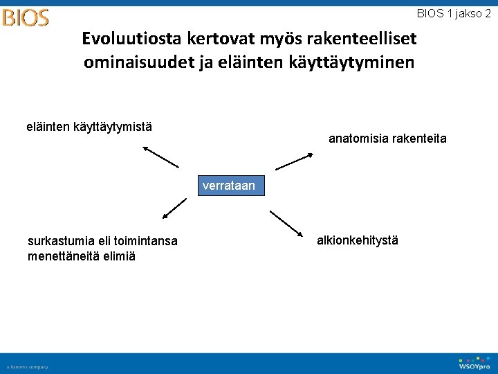 BIOS 1 jakso 2 Evoluutiosta kertovat myös rakenteelliset ominaisuudet ja eläinten käyttäytyminen eläinten käyttäytymistä