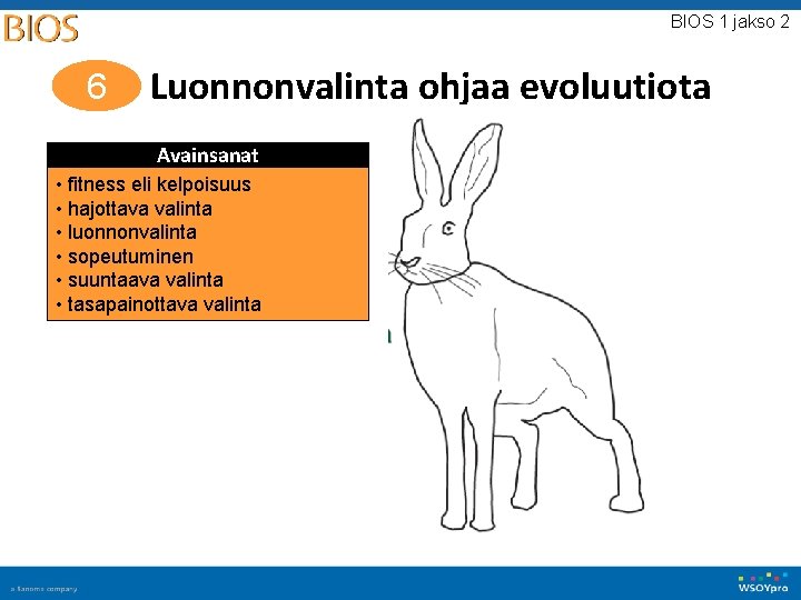 BIOS 1 jakso 2 6 Luonnonvalinta ohjaa evoluutiota Avainsanat • fitness eli kelpoisuus •