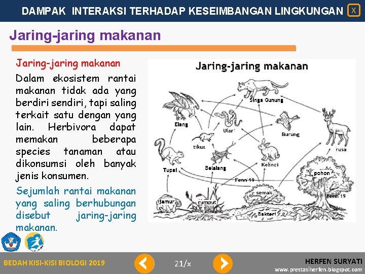 DAMPAK INTERAKSI TERHADAP KESEIMBANGAN LINGKUNGAN X Jaring-jaring makanan Dalam ekosistem rantai makanan tidak ada