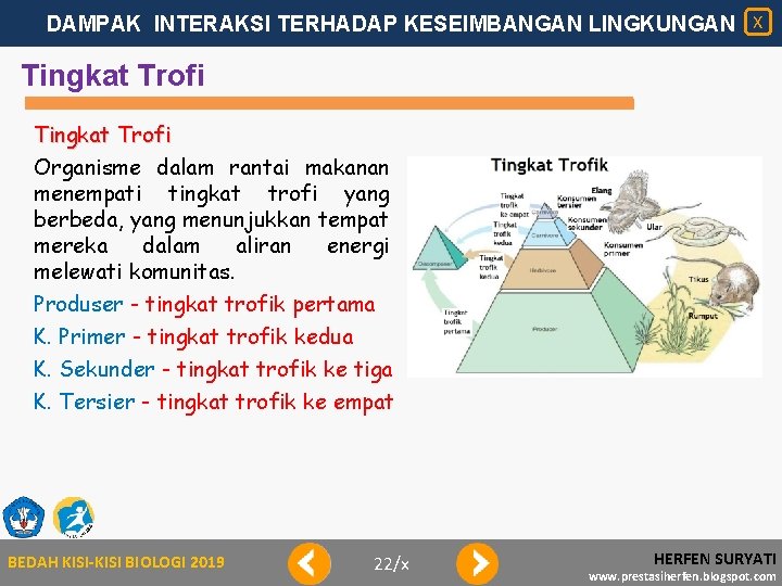 DAMPAK INTERAKSI TERHADAP KESEIMBANGAN LINGKUNGAN X Tingkat Trofi Organisme dalam rantai makanan menempati tingkat