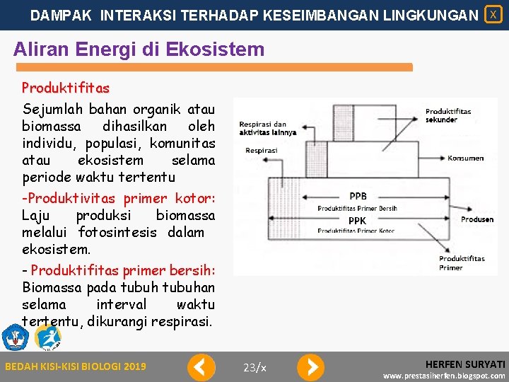 DAMPAK INTERAKSI TERHADAP KESEIMBANGAN LINGKUNGAN X Aliran Energi di Ekosistem Produktifitas Sejumlah bahan organik