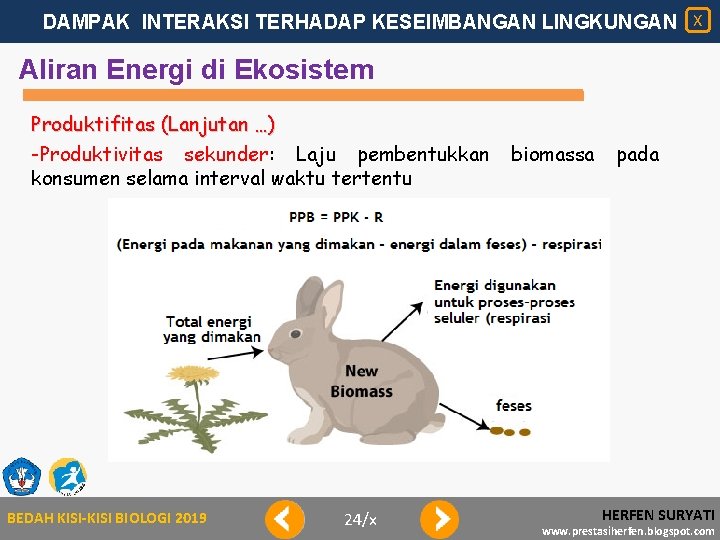 DAMPAK INTERAKSI TERHADAP KESEIMBANGAN LINGKUNGAN X Aliran Energi di Ekosistem Produktifitas (Lanjutan …) -Produktivitas