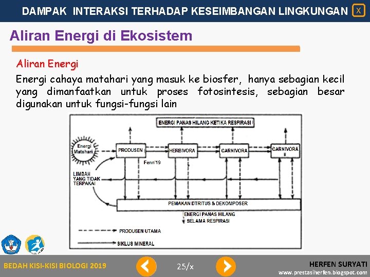 DAMPAK INTERAKSI TERHADAP KESEIMBANGAN LINGKUNGAN X Aliran Energi di Ekosistem Aliran Energi cahaya matahari