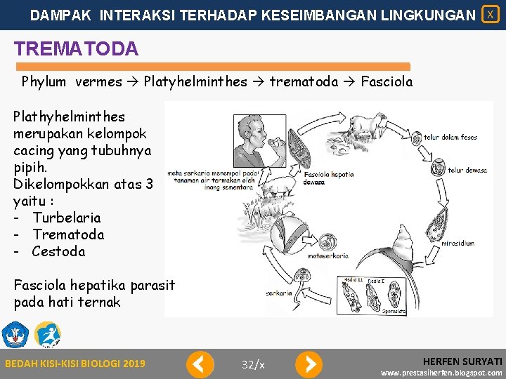 DAMPAK INTERAKSI TERHADAP KESEIMBANGAN LINGKUNGAN X TREMATODA Phylum vermes Platyhelminthes trematoda Fasciola Plathyhelminthes merupakan