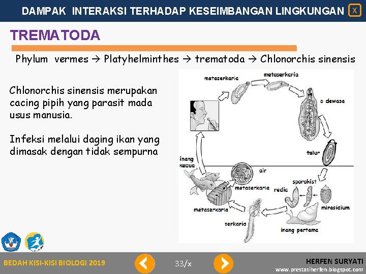 DAMPAK INTERAKSI TERHADAP KESEIMBANGAN LINGKUNGAN X TREMATODA Phylum vermes Platyhelminthes trematoda Chlonorchis sinensis merupakan