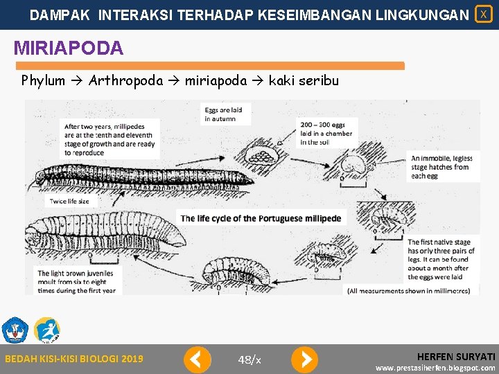 DAMPAK INTERAKSI TERHADAP KESEIMBANGAN LINGKUNGAN X MIRIAPODA Phylum Arthropoda miriapoda kaki seribu BEDAH KISI-KISI