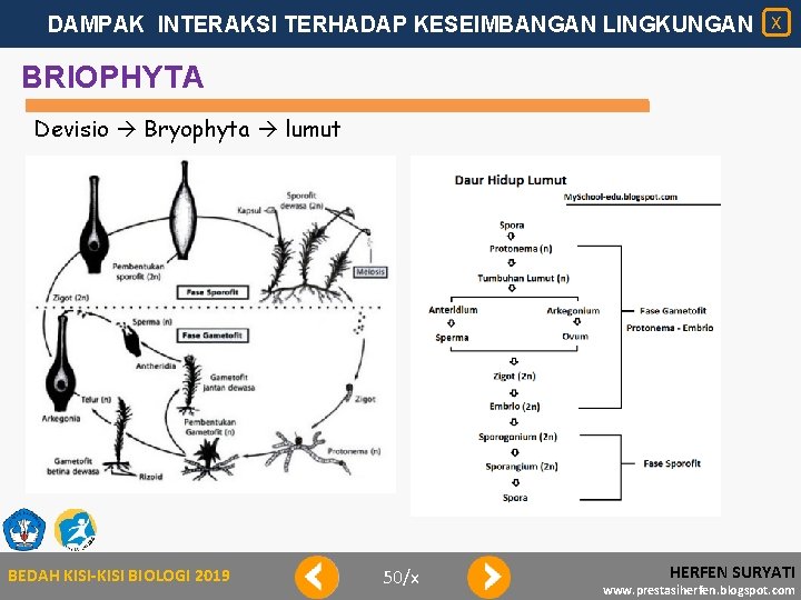 DAMPAK INTERAKSI TERHADAP KESEIMBANGAN LINGKUNGAN X BRIOPHYTA Devisio Bryophyta lumut BEDAH KISI-KISI BIOLOGI 2019