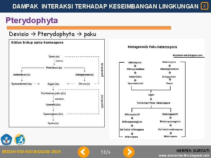 DAMPAK INTERAKSI TERHADAP KESEIMBANGAN LINGKUNGAN X Pterydophyta Devisio Pterydophyta paku BEDAH KISI-KISI BIOLOGI 2019