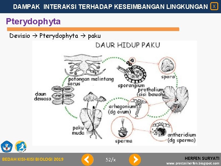 DAMPAK INTERAKSI TERHADAP KESEIMBANGAN LINGKUNGAN X Pterydophyta Devisio Pterydophyta paku BEDAH KISI-KISI BIOLOGI 2019