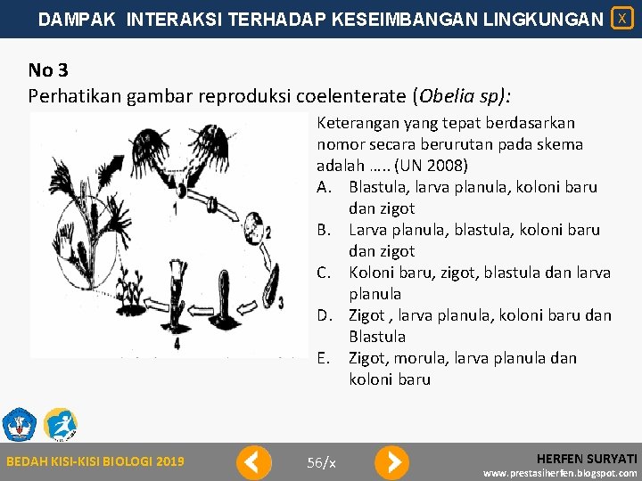DAMPAK INTERAKSI TERHADAP KESEIMBANGAN LINGKUNGAN X No 3 Perhatikan gambar reproduksi coelenterate (Obelia sp):