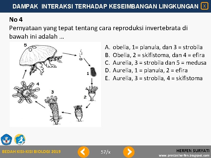 DAMPAK INTERAKSI TERHADAP KESEIMBANGAN LINGKUNGAN X No 4 Pernyataan yang tepat tentang cara reproduksi