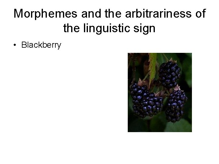 Morphemes and the arbitrariness of the linguistic sign • Blackberry 