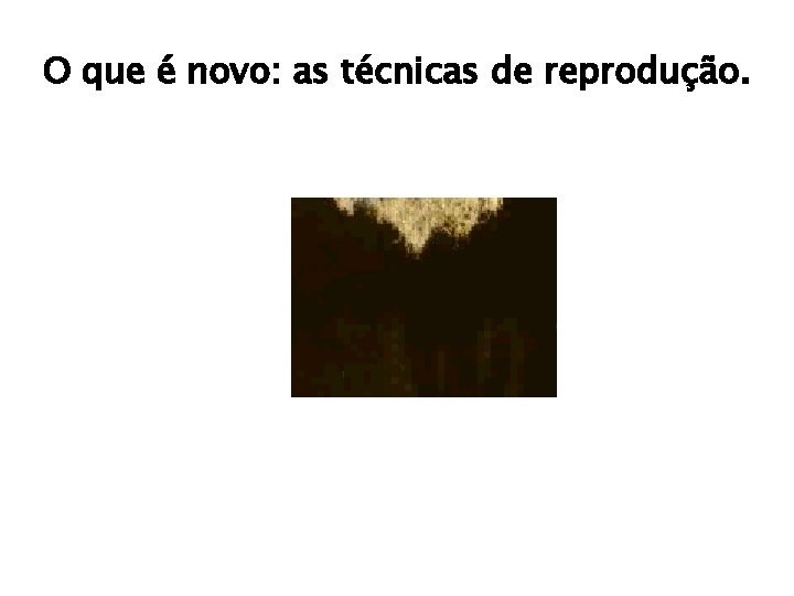 O que é novo: as técnicas de reprodução. 