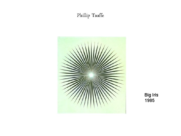 Phillip Taaffe Big Iris 1985 