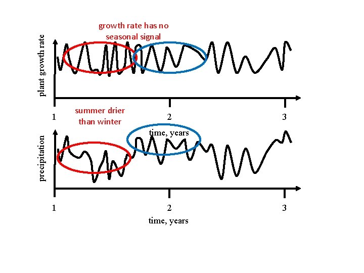 plant growth rate has no seasonal signal 1 summer drier than winter 2 3