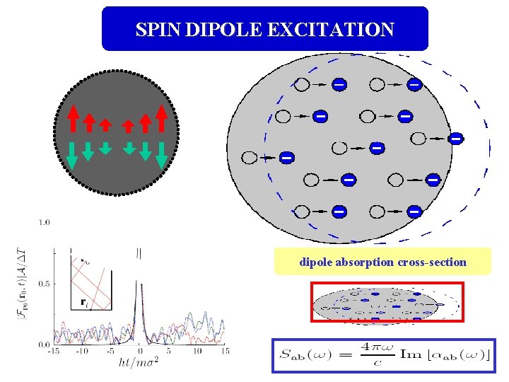 SPIN DIPOLE EXCITATION dipole absorption cross-section 