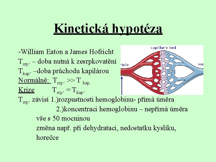 Kinetická hypotéza -William Eaton a James Hofricht Tsrp. – doba nutná k zesrpkovatění Tkap.