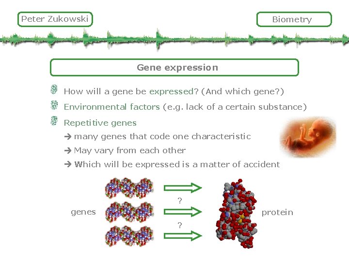 Peter Zukowski Biometry Gene expression How will a gene be expressed? (And which gene?