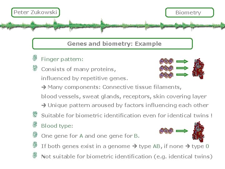 Peter Zukowski Biometry Genes and biometry: Example Finger pattern: Consists of many proteins, influenced