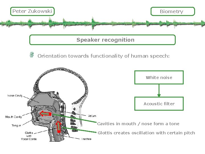 Peter Zukowski Biometry Speaker recognition Orientation towards functionality of human speech: White noise Acoustic
