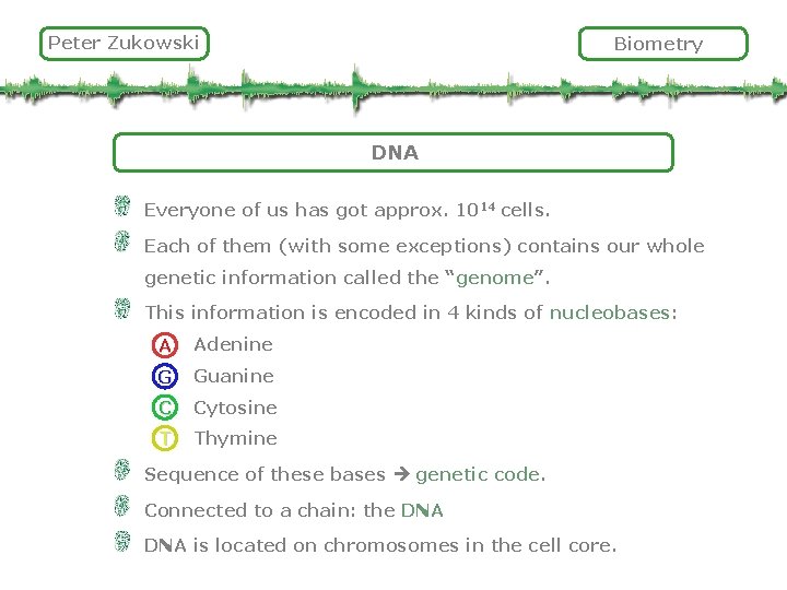 Peter Zukowski Biometry DNA Everyone of us has got approx. 1014 cells. Each of